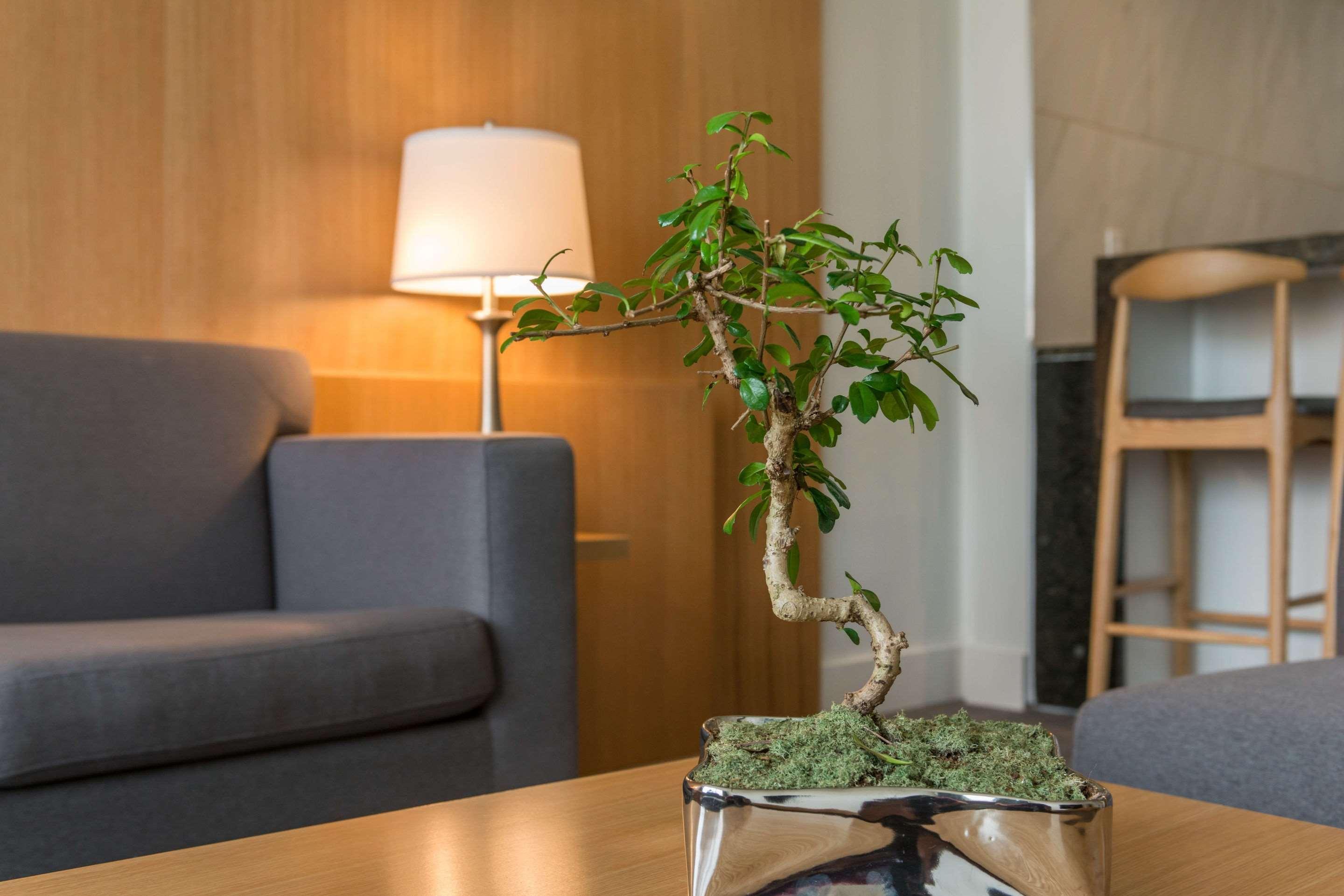 The West Wing Boutique Hotel Tampa Luaran gambar